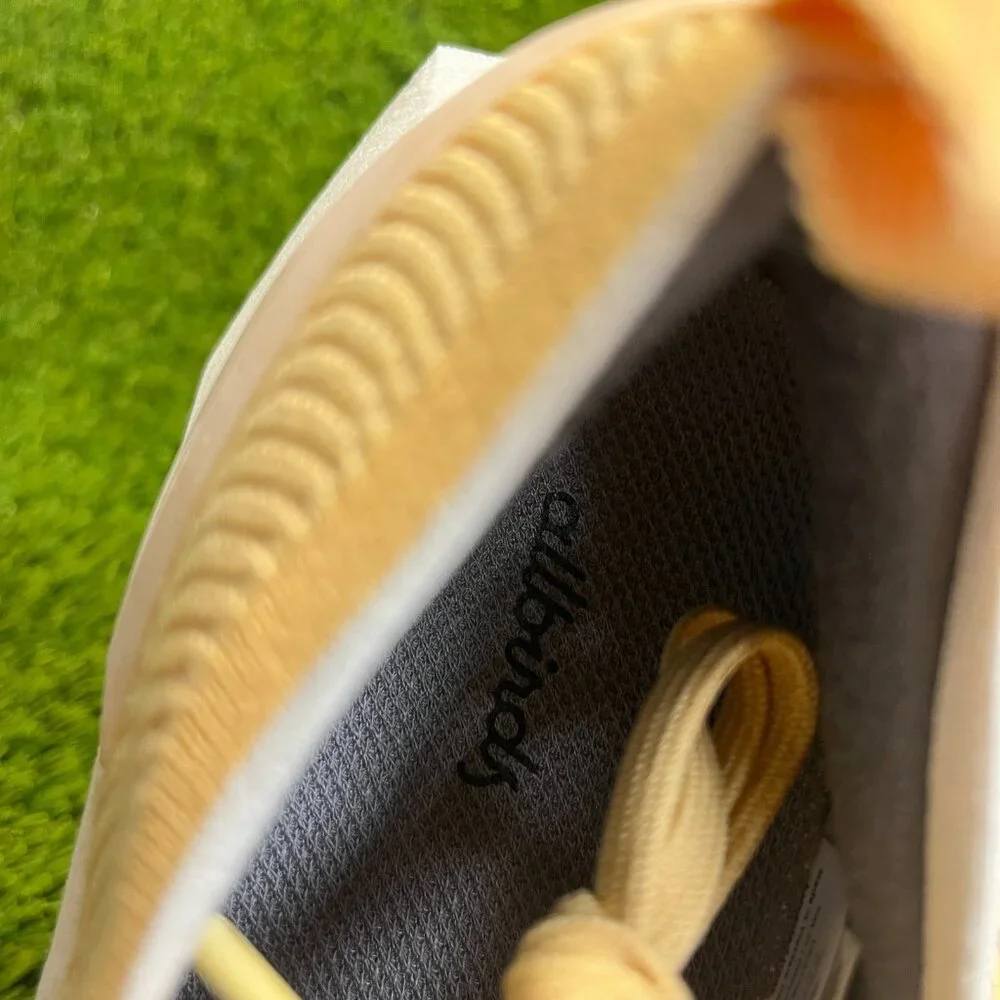 allbirds shipping policy